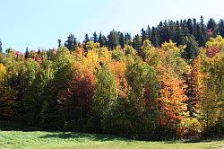 Lac-Saint-Jean naar Shawinigan